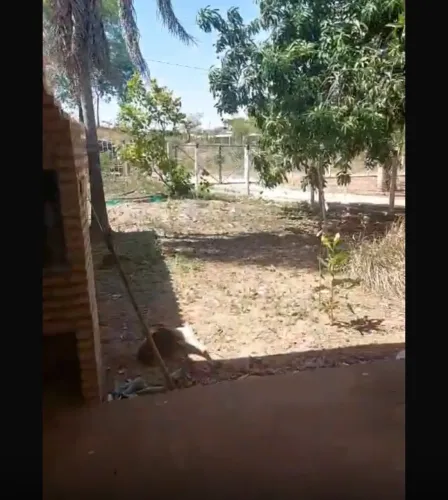 *CHÁCARA EM JARANÁPOLIS* ?2.300 m ² ?Casa com 3/4 pego carro , investimento :300 mil