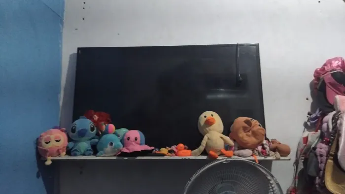 Tv.50