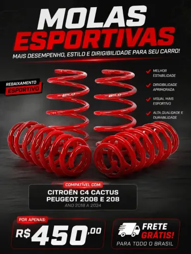 Molas Esportivas - Citroen e Peugeot