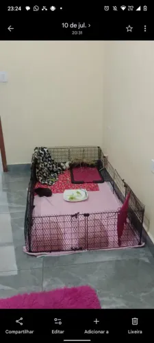 Estou vendendo um cercado e acessórios