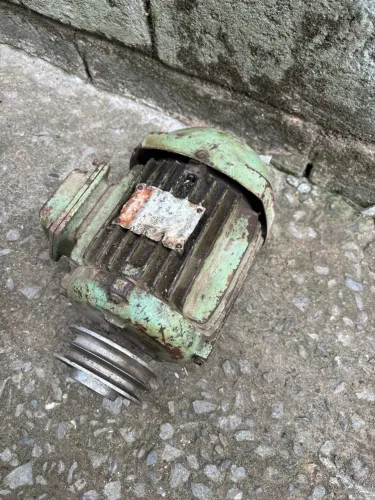 Motor Elétrico Trifásico WEG 3 CV com Polia