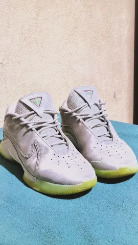Tênis de vôlei e basquete. Lebron 22
