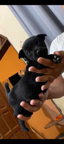 Doação