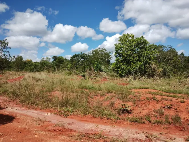 Compre a sua Fazendinha plana com 20.000m2 Financiada às Margens da Rodovia 040 em Paraope