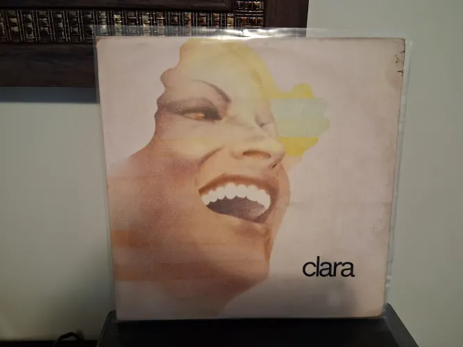 Disco de vinil