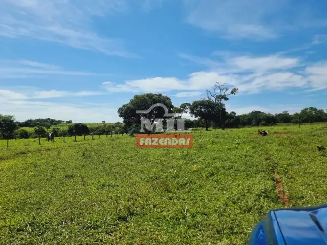 Fazenda 71 alqueires (345 hectares) Nova América - GO