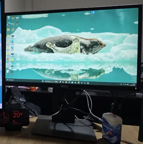 Monitor Dell P2217Hc 21,5 Full HD IPS HDMI DisplayPort Ajuste de Altura