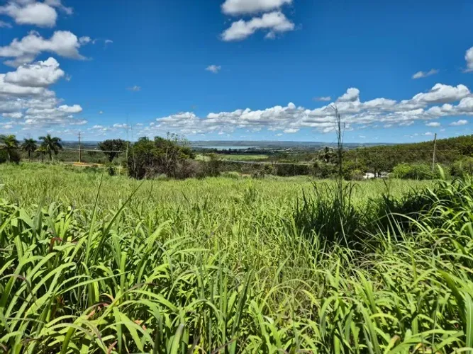 Locação de chácara 50.000 m2, com casa simples, beira do asfalto INCRA 7 DF 450