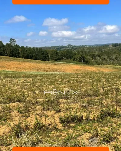 TERRENO PARCELADO EM COTIA SEM CONSULTA AO SERASA