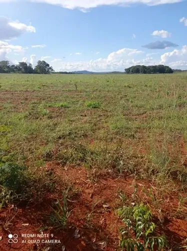 Fazenda em Almas-TO. 50 mil por alqueire.