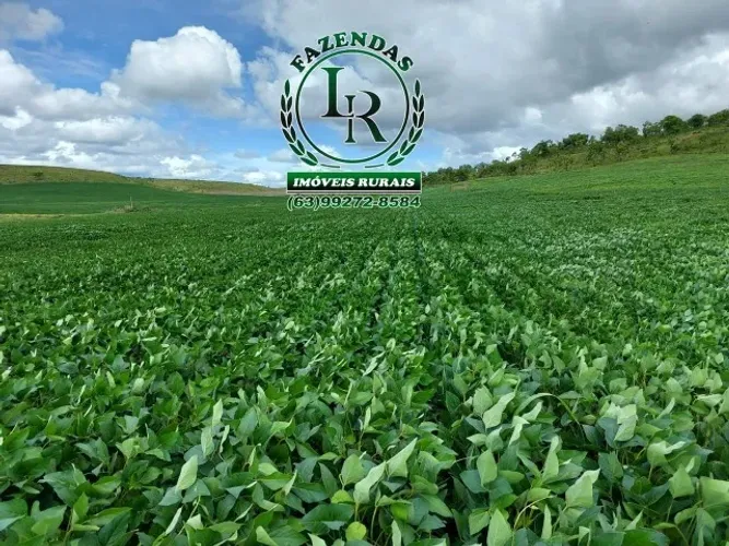 Fazenda 400 alqueires Plantando Próximo de Palmas