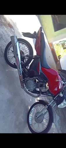 Fan de leilão toop.