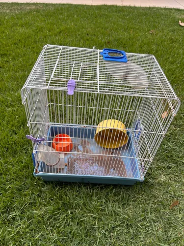 Gaiola para Hamster 40x40x25 cm