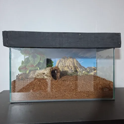 Terrário de vidro