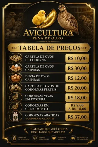 Vende se codornas gigantes