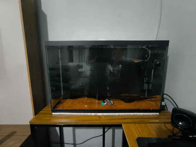 Aquário 120Lts (Leia o Anúncio)