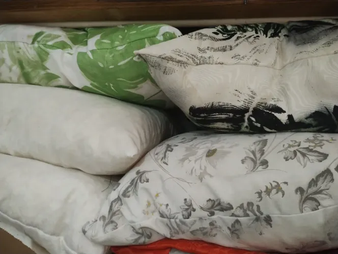 Espumas da almofada e capas de almofadas em geral