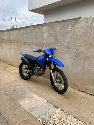 trr230