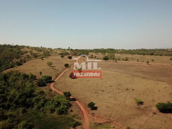 Fazenda em São Miguel do Passa Quatro _GO 49 alqueires (237 hectares )