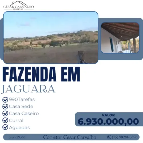 FAZENDA EM JAGUARA - 990 TAREFAS