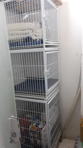 Canil em coluna para conter animais em  clínicas, criatórios etc.