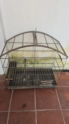 Gaiolas e viveiro para pássaros