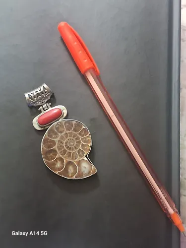 Pingente com amonite, Prata e coral natural. Peça maravilhosa.