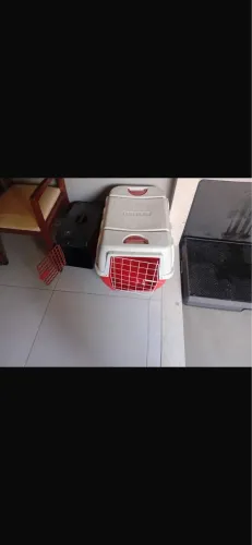 Casinha para cachorros porta grande e pequeno
