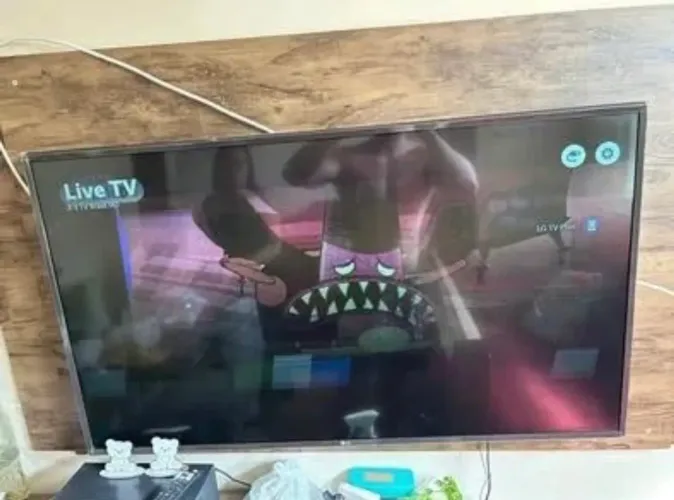 Tv LG 49 polegadas (tela ruim)