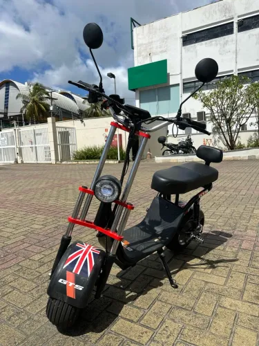 Scooter Bike Elétrica 1000W