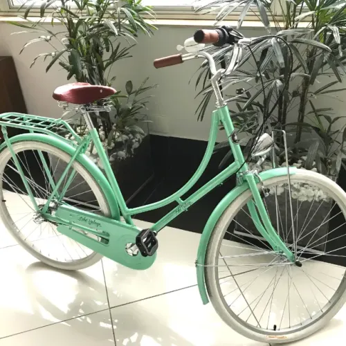 Mostruário - Bicicleta Vintage Ícaro Plus All Green - Kit marcha Nexus Shimano 3 Velocidad