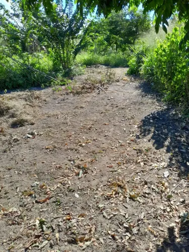 Venda de terreno na comunidade estrada nova