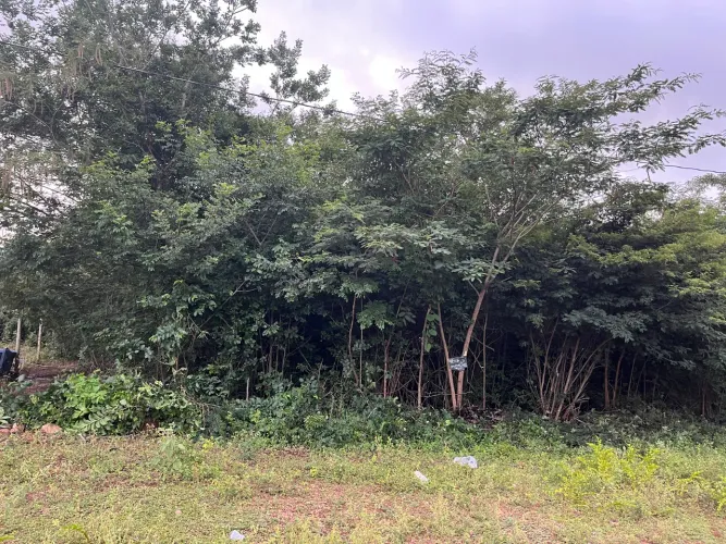 Vendo terreno de 1016 metros , localizado em Barra da Caiçara,município de Glaucilandia.