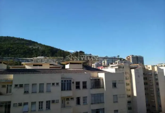 Apartamento : / Residencial / Laranjeiras