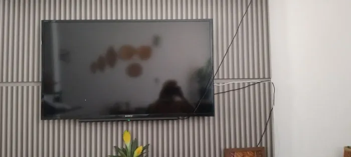 Televisão