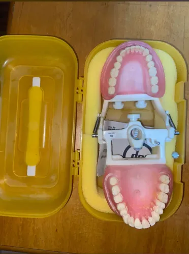 Manequim odontológico PRONEW