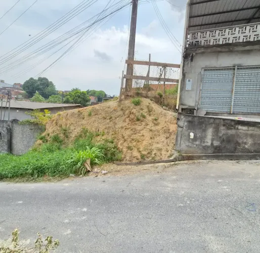 NOVO ALEIXO, Novo Aleixo