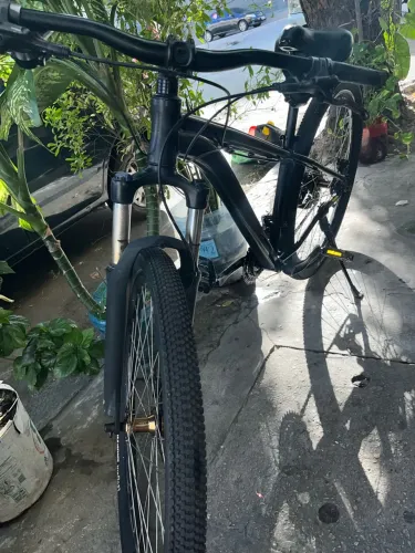 BIKE ARO 29