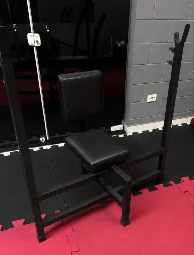Banco de desenvolvimento de ombro (Musculação/Academia)