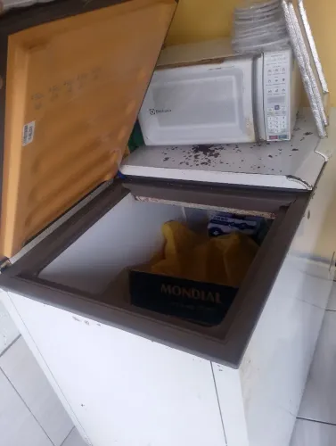 Freezer e microondas