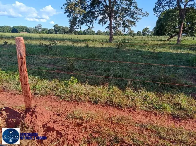 Fazenda à Venda em Santa Fé de Goiás 70 Alqueires | Pecuária, Terra Plana