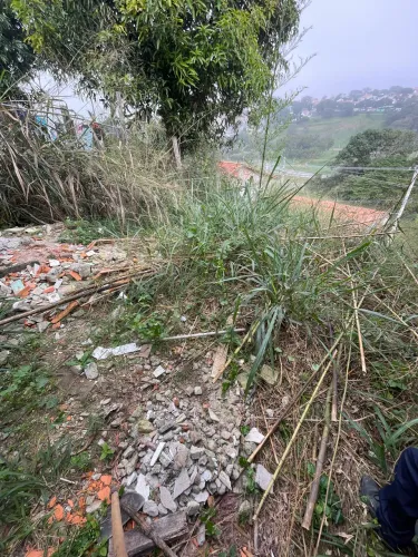 Limpeza de terrenos
