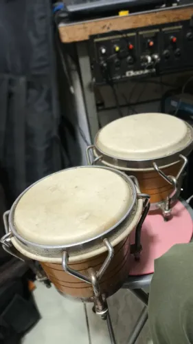 Bongo novo 