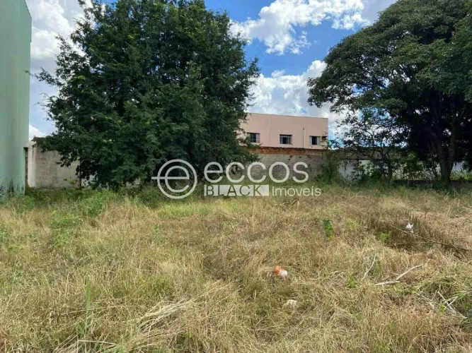 Terreno à venda, Universitário - UBERABA/MG
