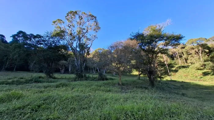 Ótima oportunidade, terreno com 2,7 hectares em Wenceslau Braz MG