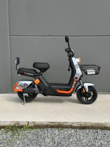 GTS 800W Brando Bikes