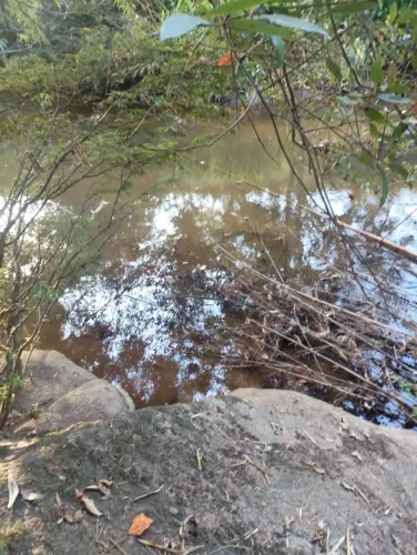 Ótima Chácara com 6.000m², localizada em Delfim Moreira/MG