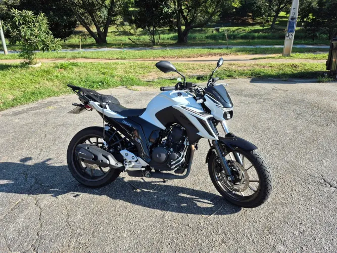 FZ 25 2026