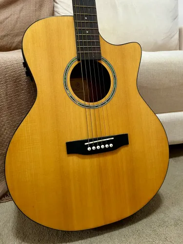 Violão Giannini Aço - Leia a descrição
