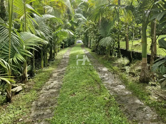 Fazenda Rancho à Venda no bairro Santa Luzia com 5 dormitórios e 200 m²